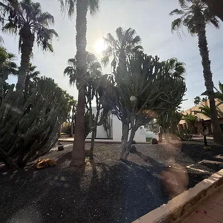Dunas Apartamento Corralejo
