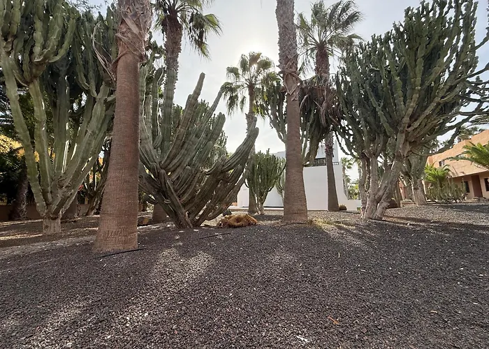 Dunas I By Sea There Fuerteventura * 코라레호