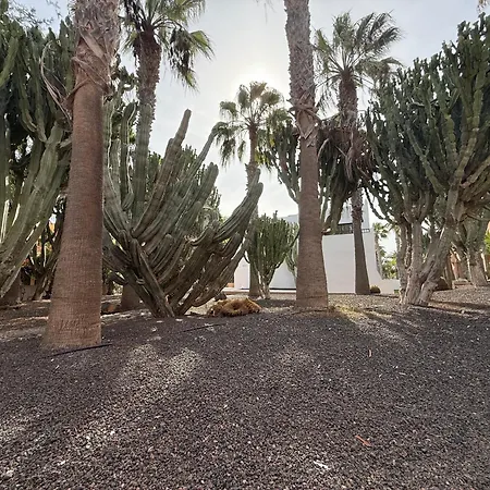 Dunas I By Sea There Fuerteventura * Corralejo