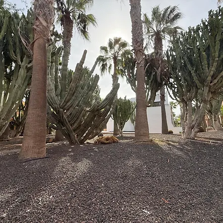 Dunas * Corralejo